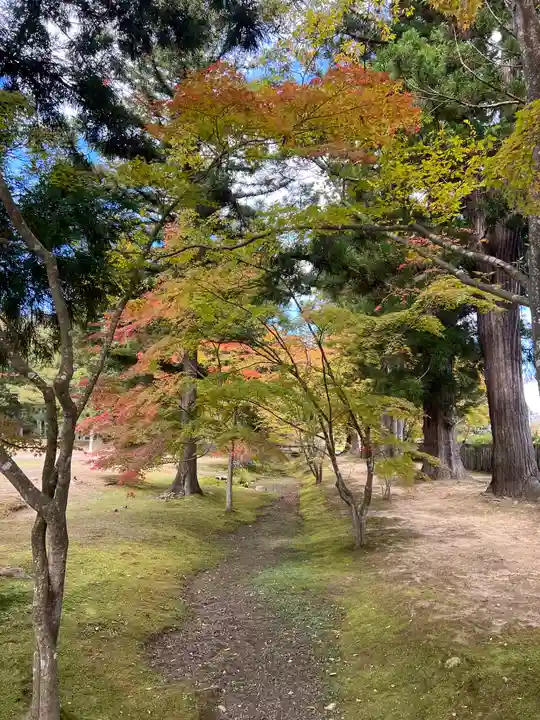 毛越寺(岩手県)