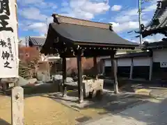 養学院の手水