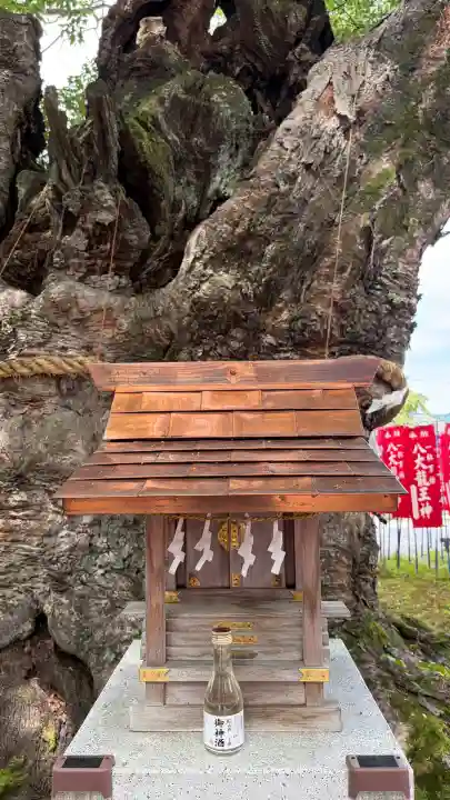 秩父今宮神社(埼玉県)