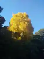 鶴岡八幡宮の自然