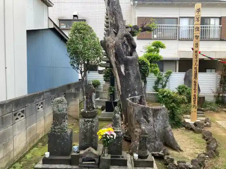 古柳庵の{uncategorized: "未分類", other: "その他", undefined: "問題あり", building: "その他建物", grave: "お墓", sacred_gate: "鳥居", guardian: "狛犬", statue: "像", buddha: "仏像", history: "歴史", nature: "自然", garden: "庭園", animal: "動物", pagoda: "塔", temizu: "手水舎", mountain_gate: "山門・神門", sanctuary: "本殿・本堂", subordinate: "末社・摂社", art: "芸術", scenery: "景色", jizo: "地蔵", ema: "絵馬", goshuin: "御朱印", omikuji: "おみくじ", items: "授与品その他", amulet: "お守り", goshuincho: "御朱印帳", eats: "食事", festival: "お祭り", votive_dance: "神楽", shichigosan: "七五三参", wedding: "結婚式", experience: "体験その他", initially: "初詣", around: "周辺", anti_infection: "感染症対策"}
