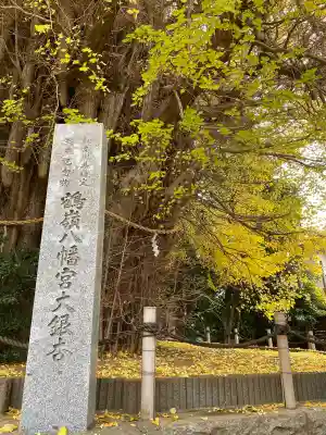 鶴嶺八幡宮の{uncategorized: "未分類", other: "その他", undefined: "問題あり", building: "その他建物", grave: "お墓", sacred_gate: "鳥居", guardian: "狛犬", statue: "像", buddha: "仏像", history: "歴史", nature: "自然", garden: "庭園", animal: "動物", pagoda: "塔", temizu: "手水舎", mountain_gate: "山門・神門", sanctuary: "本殿・本堂", subordinate: "末社・摂社", art: "芸術", scenery: "景色", jizo: "地蔵", ema: "絵馬", goshuin: "御朱印", omikuji: "おみくじ", items: "授与品その他", amulet: "お守り", goshuincho: "御朱印帳", eats: "食事", festival: "お祭り", votive_dance: "神楽", shichigosan: "七五三参", wedding: "結婚式", experience: "体験その他", initially: "初詣", around: "周辺", anti_infection: "感染症対策"}