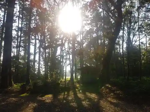 大生神社の自然