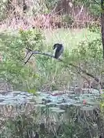 水神社(東京都)