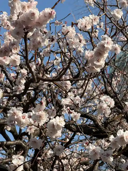 湯島天満宮の{uncategorized: "未分類", other: "その他", undefined: "問題あり", building: "その他建物", grave: "お墓", sacred_gate: "鳥居", guardian: "狛犬", statue: "像", buddha: "仏像", history: "歴史", nature: "自然", garden: "庭園", animal: "動物", pagoda: "塔", temizu: "手水舎", mountain_gate: "山門・神門", sanctuary: "本殿・本堂", subordinate: "末社・摂社", art: "芸術", scenery: "景色", jizo: "地蔵", ema: "絵馬", goshuin: "御朱印", omikuji: "おみくじ", items: "授与品その他", amulet: "お守り", goshuincho: "御朱印帳", eats: "食事", festival: "お祭り", votive_dance: "神楽", shichigosan: "七五三参", wedding: "結婚式", experience: "体験その他", initially: "初詣", around: "周辺", anti_infection: "感染症対策"}