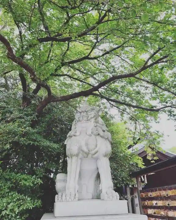 寒川神社(神奈川県)