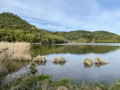 観音島(京都府)