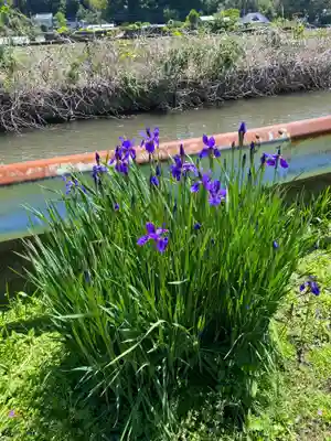 櫻井子安神社(千葉県)