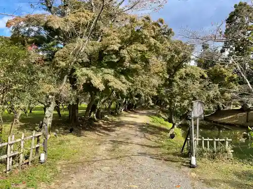 大覚寺(京都府)