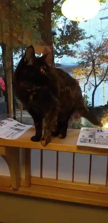 五十稲荷神社(栄寿稲荷神社)の動物