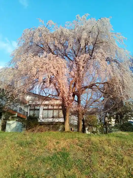 大安寺(宮城県)