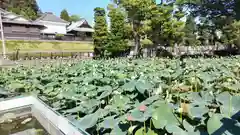 法華経寺(千葉県)