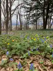 浦臼神社(北海道)