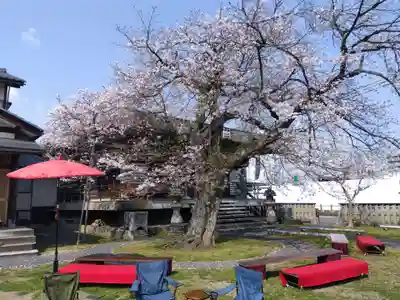 妙経寺(福井県)