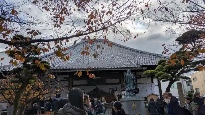 墨染寺(桜寺)(京都府)