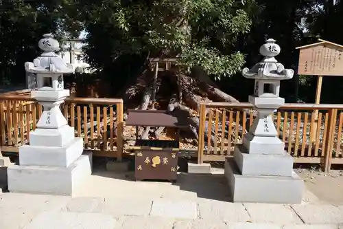 和泉國一之宮　大鳥大社(大阪府)