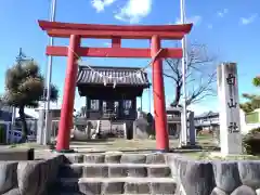 白山社（井堀）の鳥居