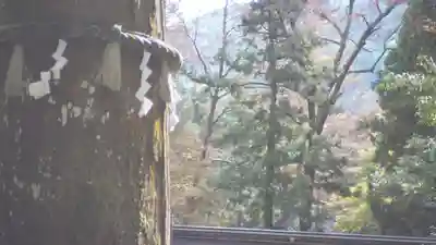 由岐神社(京都府)