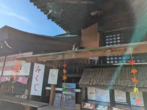 櫻山神社(岩手県)