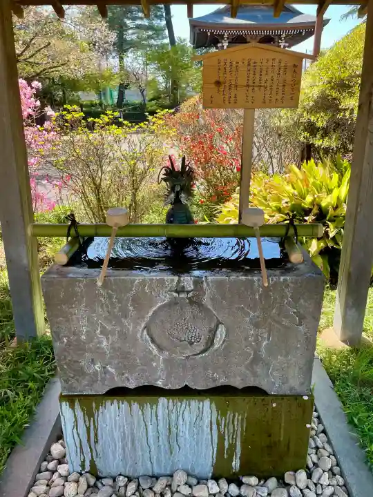 本立寺の{uncategorized: "未分類", other: "その他", undefined: "問題あり", building: "その他建物", grave: "お墓", sacred_gate: "鳥居", guardian: "狛犬", statue: "像", buddha: "仏像", history: "歴史", nature: "自然", garden: "庭園", animal: "動物", pagoda: "塔", temizu: "手水舎", mountain_gate: "山門・神門", sanctuary: "本殿・本堂", subordinate: "末社・摂社", art: "芸術", scenery: "景色", jizo: "地蔵", ema: "絵馬", goshuin: "御朱印", omikuji: "おみくじ", items: "授与品その他", amulet: "お守り", goshuincho: "御朱印帳", eats: "食事", festival: "お祭り", votive_dance: "神楽", shichigosan: "七五三参", wedding: "結婚式", experience: "体験その他", initially: "初詣", around: "周辺", anti_infection: "感染症対策"}