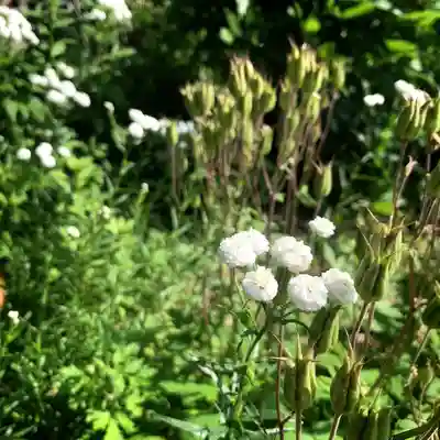 仁玄寺(北海道)