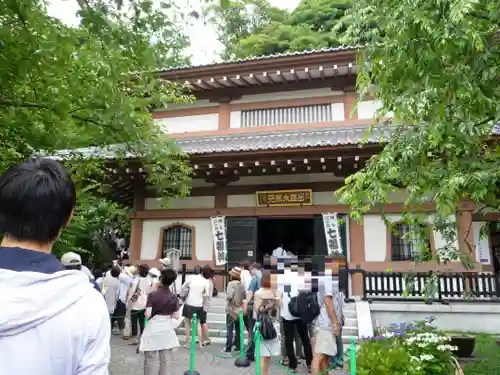 長谷寺の本殿・本堂