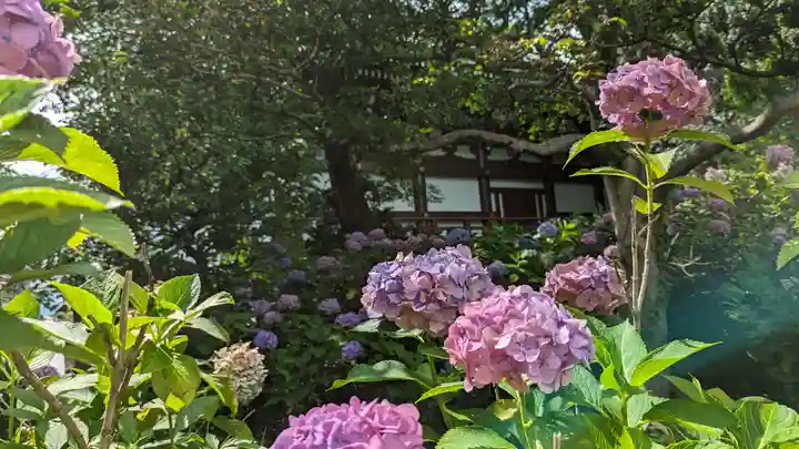 智積院(京都府)