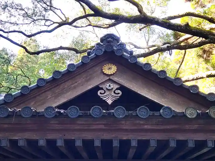伊邪那岐神社(鹿児島県)