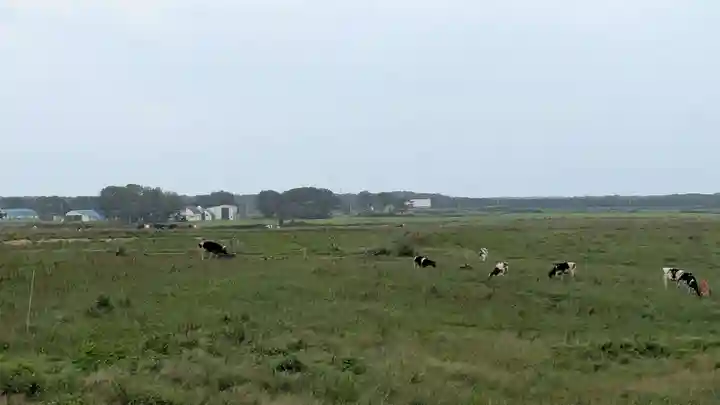 更岸神社の周辺