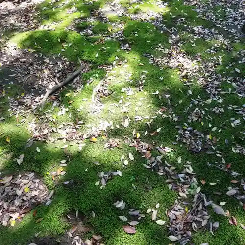 水神社の自然