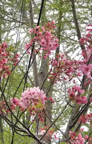 阿邪訶根神社(福島県)