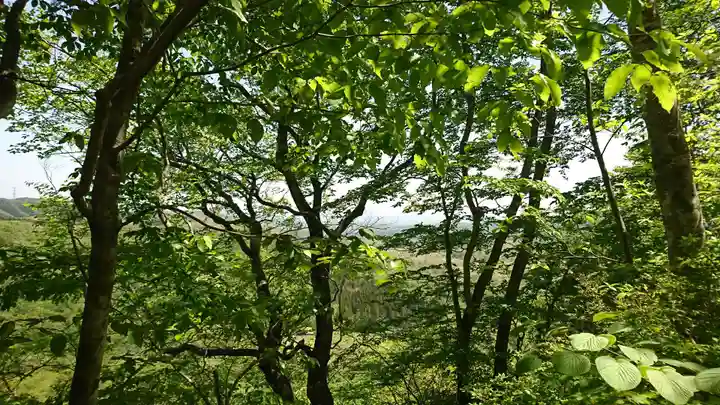 船形山神社の自然