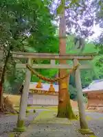 稲束神社(平尾町)の鳥居
