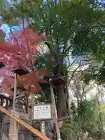 敏馬神社(兵庫県)