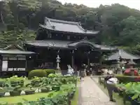 三室戸寺の本殿・本堂