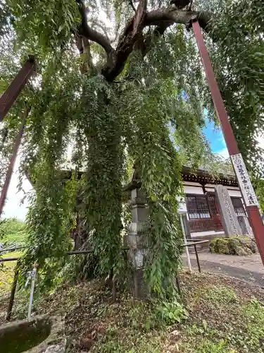 林昌寺(群馬県)