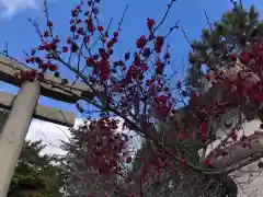 荒井神社(兵庫県)