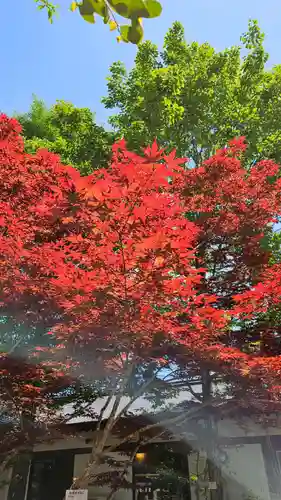 大洗磯前神社の自然