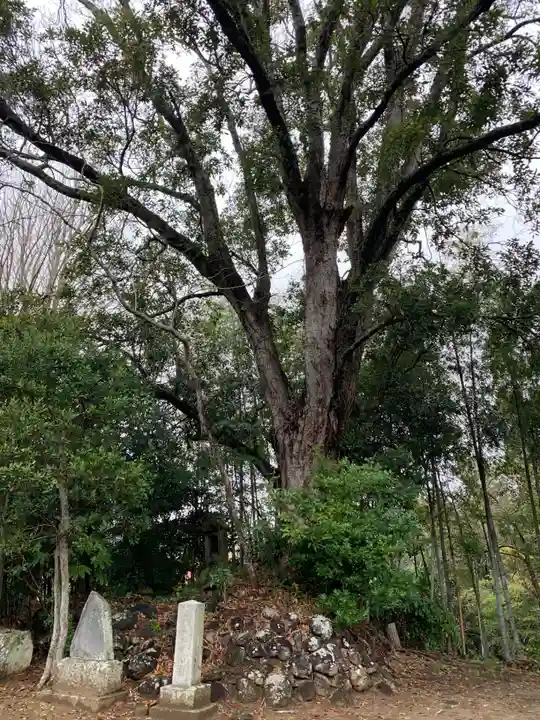 円天寺(千葉県)