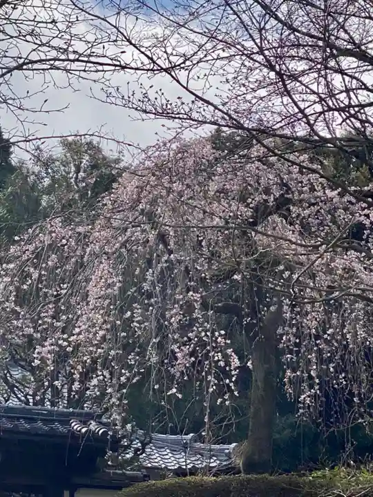 岩屋寺(京都府)