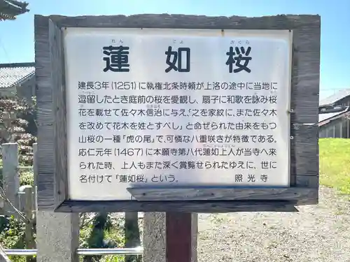 照光寺(滋賀県)