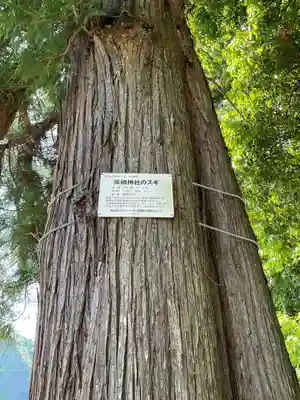 栗栖神社(愛知県)