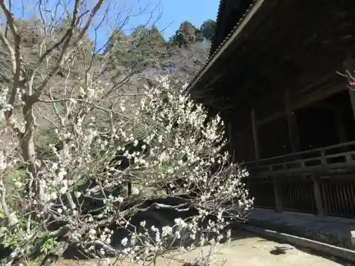 妙本寺の景色