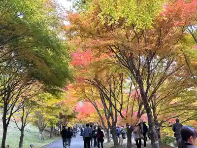 山神社(長野県)