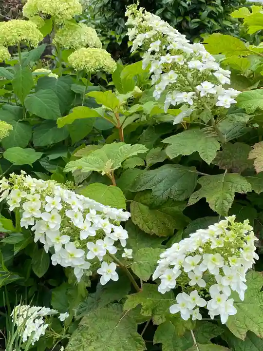 埼玉厄除け開運大師・龍泉寺(切り絵御朱印発祥の寺)の自然