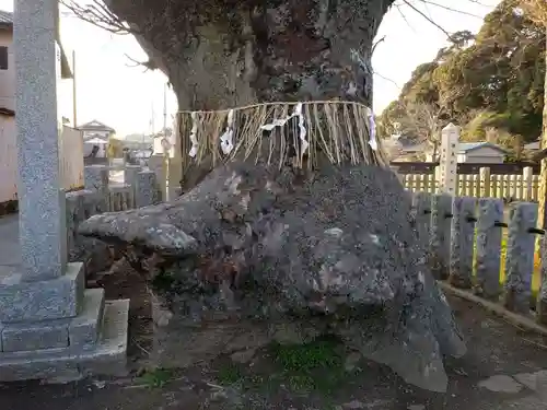 素鵞熊野神社の自然