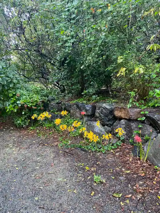 梅宮大社(京都府)