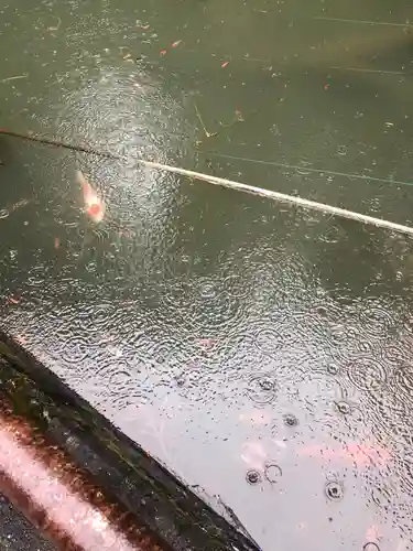 雙栗天神社の庭園