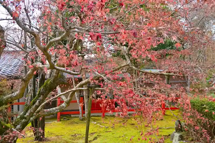 大原野神社(京都府)