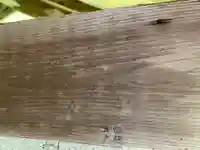 諏訪神社(千葉県)